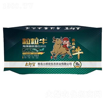 ��������������ĵ���-���ɹ�