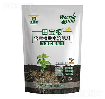 爆發(fā)式生根劑-田寶根-沃耕牛