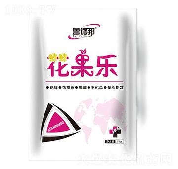 花果樂(lè)-魯?shù)掳? width=