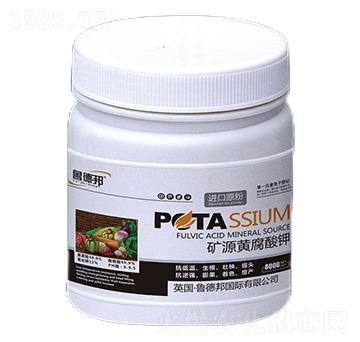 �VԴ�������-��?sh��)°? />
                                </div>
                            </div>
                            
                            <style type=