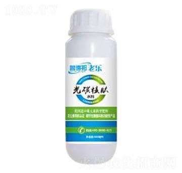 光碳核肽-魯?shù)掳? width=