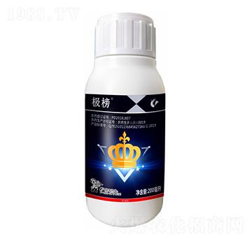 10%�x����-�O��-����¡����