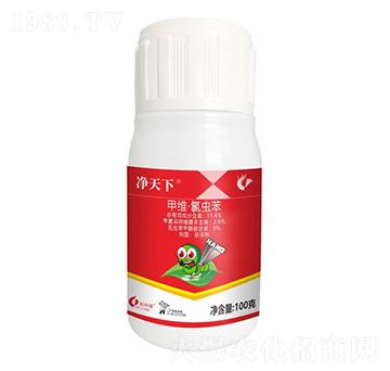 11.6%�׾S�����x��-������-����¡����