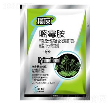 70%��ù��WG-����-һ�[�Ƽ�