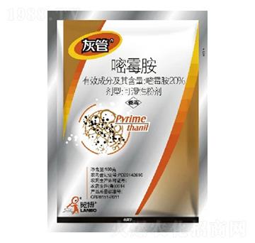 20%��ù��WP-�ҹ�-һ�[�Ƽ�