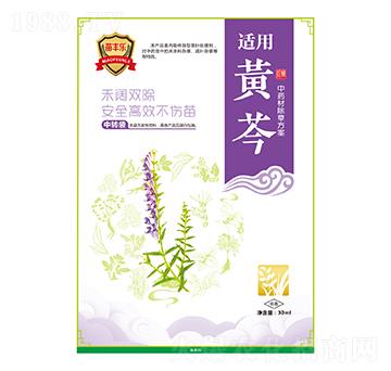 黃芩中藥材除草方案-苗豐樂-苗樂康農(nóng)業(yè)