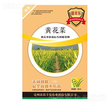 黃花菜田苗后專用除草劑-苗豐樂-苗樂康農(nóng)業(yè)