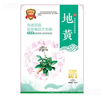 地黃中藥材專用處理劑-苗豐樂-苗樂康農(nóng)業(yè)