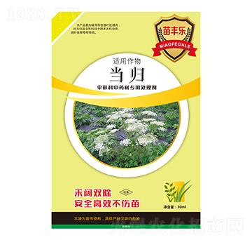 當歸傘形科中藥材專用處理劑-苗豐樂-苗樂康農(nóng)業(yè)