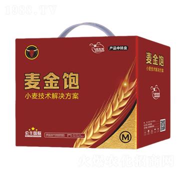 小麥增產技術解決方案-麥金飽-公牛國際