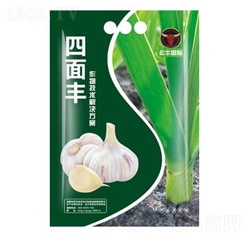 大蒜增產(chǎn)技術包-四面豐-公牛國際