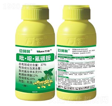 37%�����f�����ǰ�-���Ǻ�-�f��