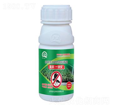 農(nóng)用殺蟲助劑樟腦精油-苗床·一涂安-強農(nóng)