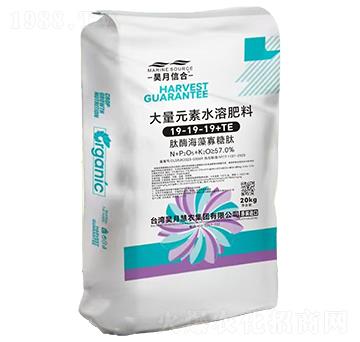 大量元素水溶肥料19-19-19+TE-昊月信合