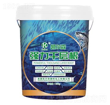 ����ǧ�Ӹ�-�P��ɭ-����Ƽ�