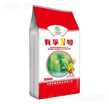 有孚1號(hào)-小麥種子-紅太陽