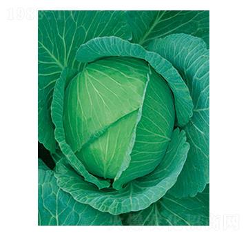 ���Sһ̖(h��o)���{(l��n)-̫���N�I(y��)