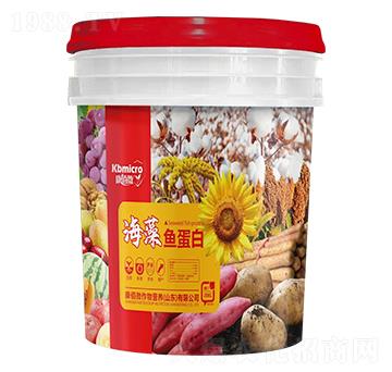 海藻魚蛋白-康佰微