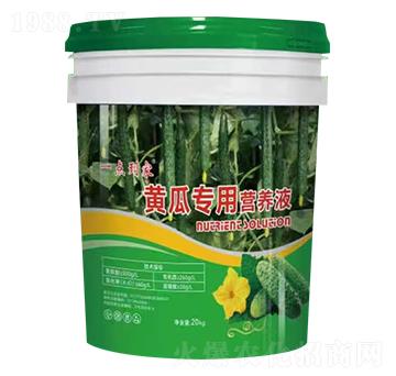 黃瓜專用營養(yǎng)液-一點到家-康佰微