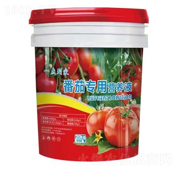 番茄專用營養(yǎng)液-一點到家-康佰微