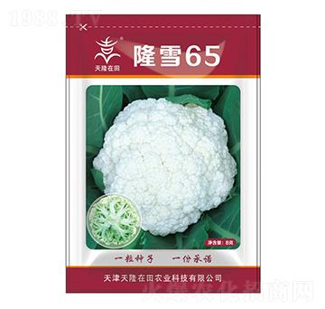 隆雪65-天隆在田-天隆農(nóng)業(yè)