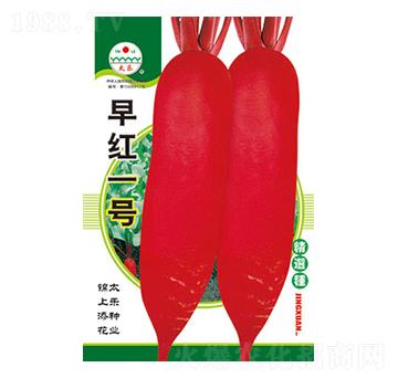 �}���N��-��tһ̖(h��o)-̫���N�I(y��)