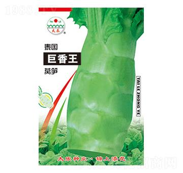 �n�S�N��-̩��(gu��)������-̫���N�I(y��)