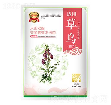 草烏（附子）中藥材除草方案-苗豐樂-苗樂康農(nóng)業(yè)