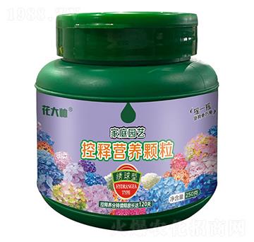 繡球型家庭園藝控釋營(yíng)養(yǎng)顆粒-花大帥-綠沃肥業(yè)