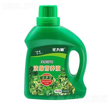綠蘿型家庭園藝濃縮營(yíng)養(yǎng)液-花大帥-綠沃肥業(yè)