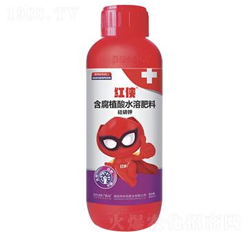 紅俠-抗倒增產(chǎn)型-樸欣肥業(yè)