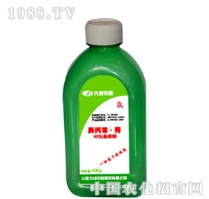 ������ݬ