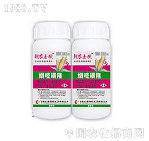 ���r-40g���׻�¡�͑Ҹ��������r��g��