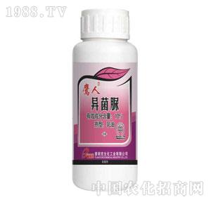 ���ʿ�-������