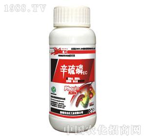 ���ʿ�-20%����������