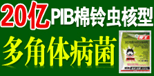 �����¹چ̵��r(n��ng)�I(y��)�Ƽ����޹�˾���{(l��n)����