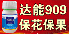 ���ϵ�˹������Ƽ����޹�˾