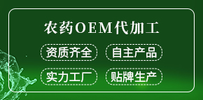 山東東遠生物科技有限公司