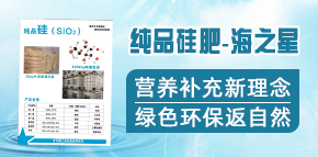 青島海之星化學有限公司